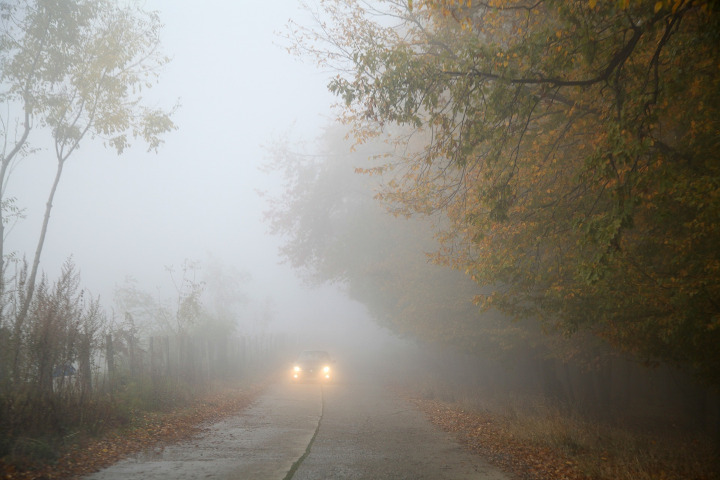 Niebla Diurna Niebla Diurna